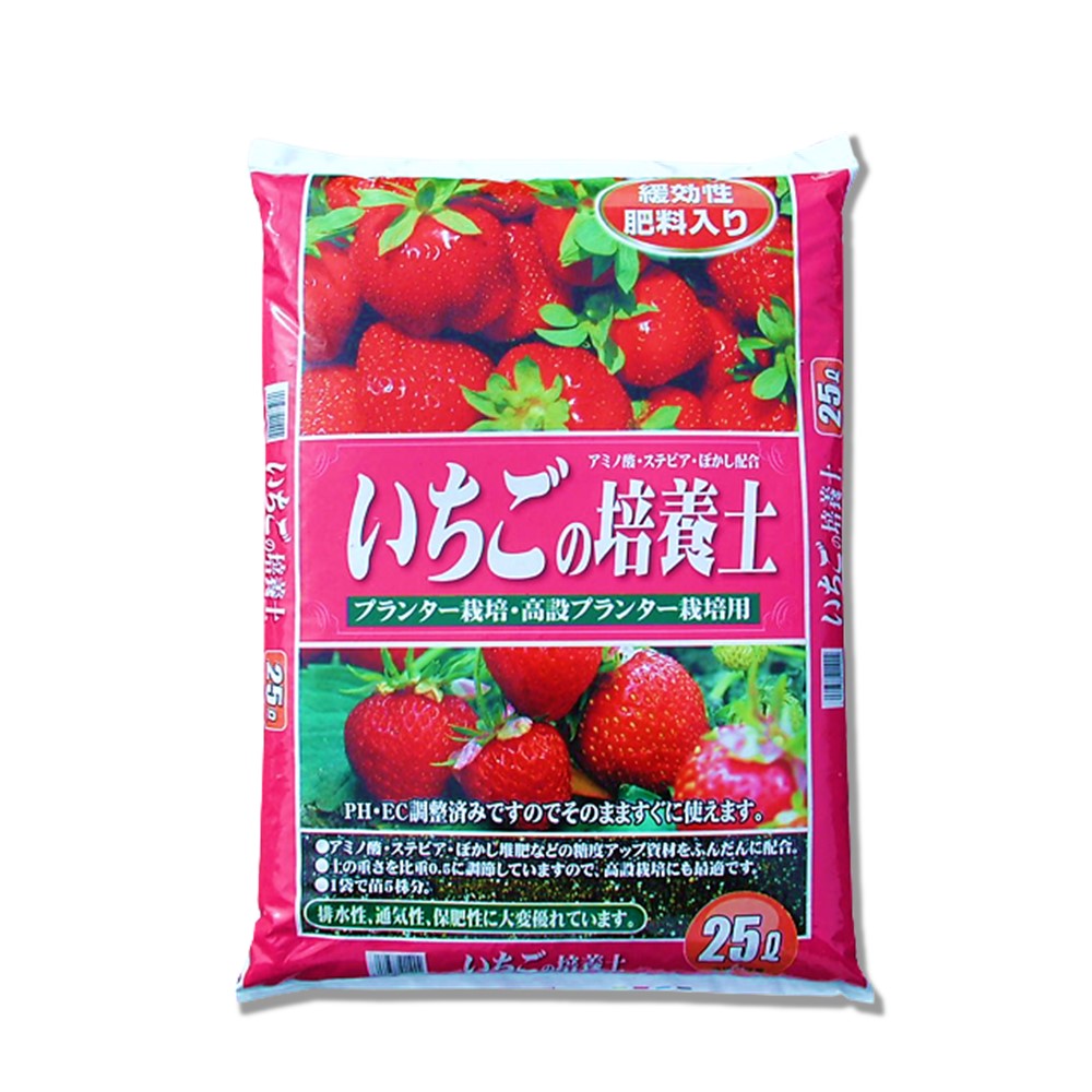日本のいちご20種類ご紹介。買って食べられるいちご品種図鑑